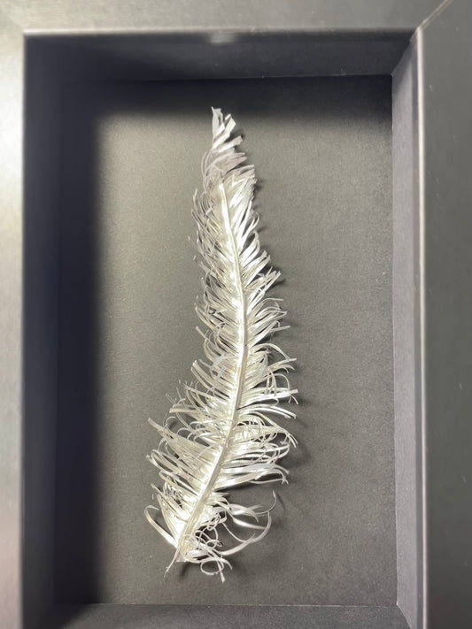 Single Feather  - Framed